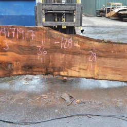 Goby Walnut Products 041719-07 Big Leaf Maple Slab