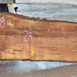 Goby Walnut Products 041719-07 Big Leaf Maple Slab