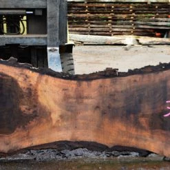 Goby Walnut Oregon Black Walnut Slab 041914-01