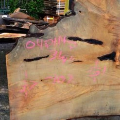 Goby Walnut Big Leaf Maple Slab 042114-02 Green Slabs