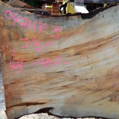Goby Walnut Green Slabs Big Leaf Maple Slab 042114-03
