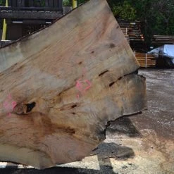 Goby Walnut Green Slabs Big Leaf Maple Slab 042114-03