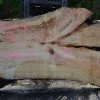 Goby Walnut Big Leaf Maple Slab 042114-06 Green Slabs
