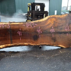 Goby Walnut Products Green Slabs 042119-03 Oregon White Oak Slab