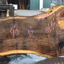 Goby Walnut Products 042119-08 Oregon White Oak Slab