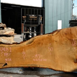 Goby Walnut Products Green Slabs Oregon White Oak Slab 042418-01