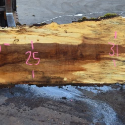 Goby Walnut Products 042419-01 Oregon White Oak