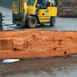 Goby Walnut Oregon Redwood Slab 042517-01