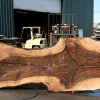 Goby Walnut Products Green Slabs Bastogne Walnut Slab 042518-04