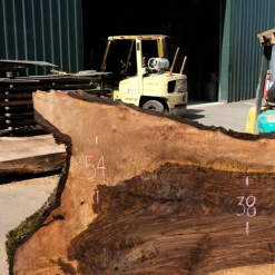 Goby Walnut Products Green Slabs Bastogne Walnut Slab 042518-04