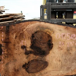 Goby Walnut Products Bastogne Walnut Slab 042518-13