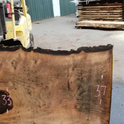 Goby Walnut Products Bastogne Walnut Slab 042518-12 Green Slabs