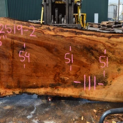 Goby Walnut Products 042519-02 Oregon White Oak Slab Green Slabs