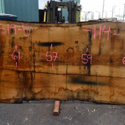 Goby Walnut Products 042519-05 Oregon White Oak Slab