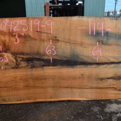 Goby Walnut Products Green Slabs 042519-09 Oregon White Oak Slab