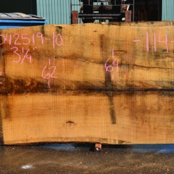 Goby Walnut Products Green Slabs 042519-10 Oregon White Oak Slab