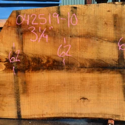 Goby Walnut Products Green Slabs 042519-10 Oregon White Oak Slab