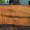 Goby Walnut Products 042519-11 Oregon White Oak Slab Green Slabs