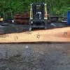 Goby Walnut Oregon Redwood Slab 042617-01