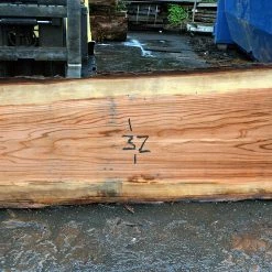 Goby Walnut Oregon Redwood Slab 042617-02 Green Slabs