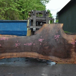 Goby Walnut Products Oregon Black Walnut Slab 042621-01