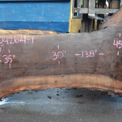 Goby Walnut Products Oregon Black Walnut Slab 042621-01