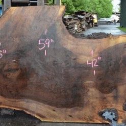 Goby Walnut Products Oregon Black Walnut Slab 042621-01