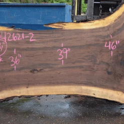 Goby Walnut Products Oregon Black Walnut Slab 042621-02