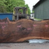 Goby Walnut Products Oregon Black Walnut Slab 042621-04 Green Slabs