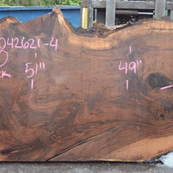 Goby Walnut Products Oregon Black Walnut Slab 042621-04 Green Slabs