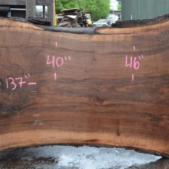 Goby Walnut Products Oregon Black Walnut Slab 042621-04 Green Slabs