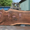 Goby Walnut Products Oregon Black Walnut Slab 042621-05