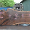 Goby Walnut Products Oregon Black Walnut Slab 042621-06 Green Slabs