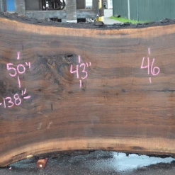 Goby Walnut Products Oregon Black Walnut Slab 042621-06 Green Slabs