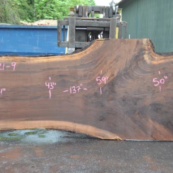 Goby Walnut Products Green Slabs Oregon Black Walnut Slab 042621-09