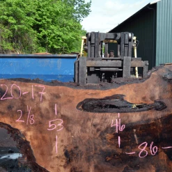 Goby Walnut Products Green Slabs Bastogne Walnut Slab 042720-17