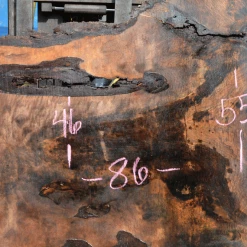 Goby Walnut Products Green Slabs Bastogne Walnut Slab 042720-17