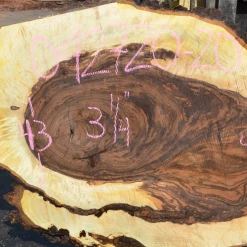 Goby Walnut Products Green Slabs Bastogne Walnut Slab 042720-20