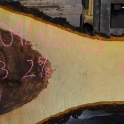 Goby Walnut Products Bastogne Walnut Slab 042720-21