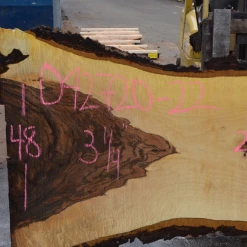 Goby Walnut Products Bastogne Walnut Slab 042720-22