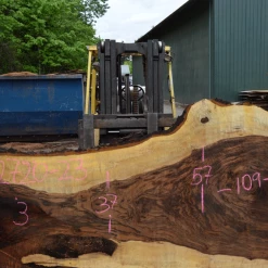 Goby Walnut Products Bastogne Walnut Slab 042720-23