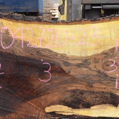 Goby Walnut Products Bastogne Walnut Slab 042720-23