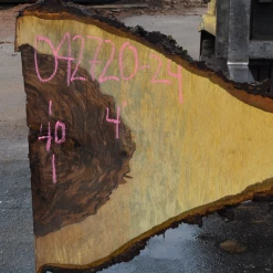 Goby Walnut Products Bastogne Walnut Slab 042720-24