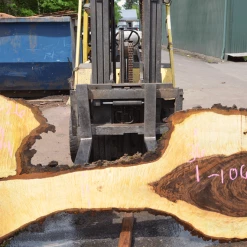 Goby Walnut Products Bastogne Walnut Slab 042720-26 Green Slabs