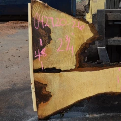 Goby Walnut Products Bastogne Walnut Slab 042720-26 Green Slabs