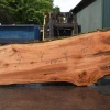 Goby Walnut Products Green Slabs Big Leaf Maple Slab 042721-03