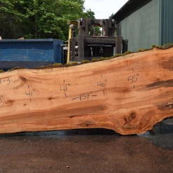 Goby Walnut Products Green Slabs Big Leaf Maple Slab 042721-03