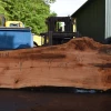 Goby Walnut Products Big Leaf Maple Slab 042721-04 Green Slabs