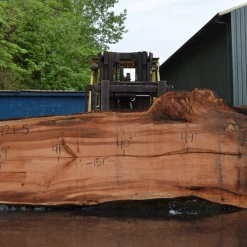 Goby Walnut Products Big Leaf Maple Slab 042721-05 Green Slabs