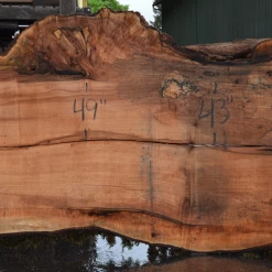 Goby Walnut Products Big Leaf Maple Slab 042721-05 Green Slabs